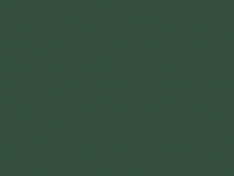 302 814 vihreä matta, joka vastaa sävyä RAL 6005